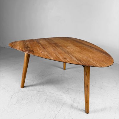 Organische Hedendaagse Retro Bijzettafel / Tuintafel