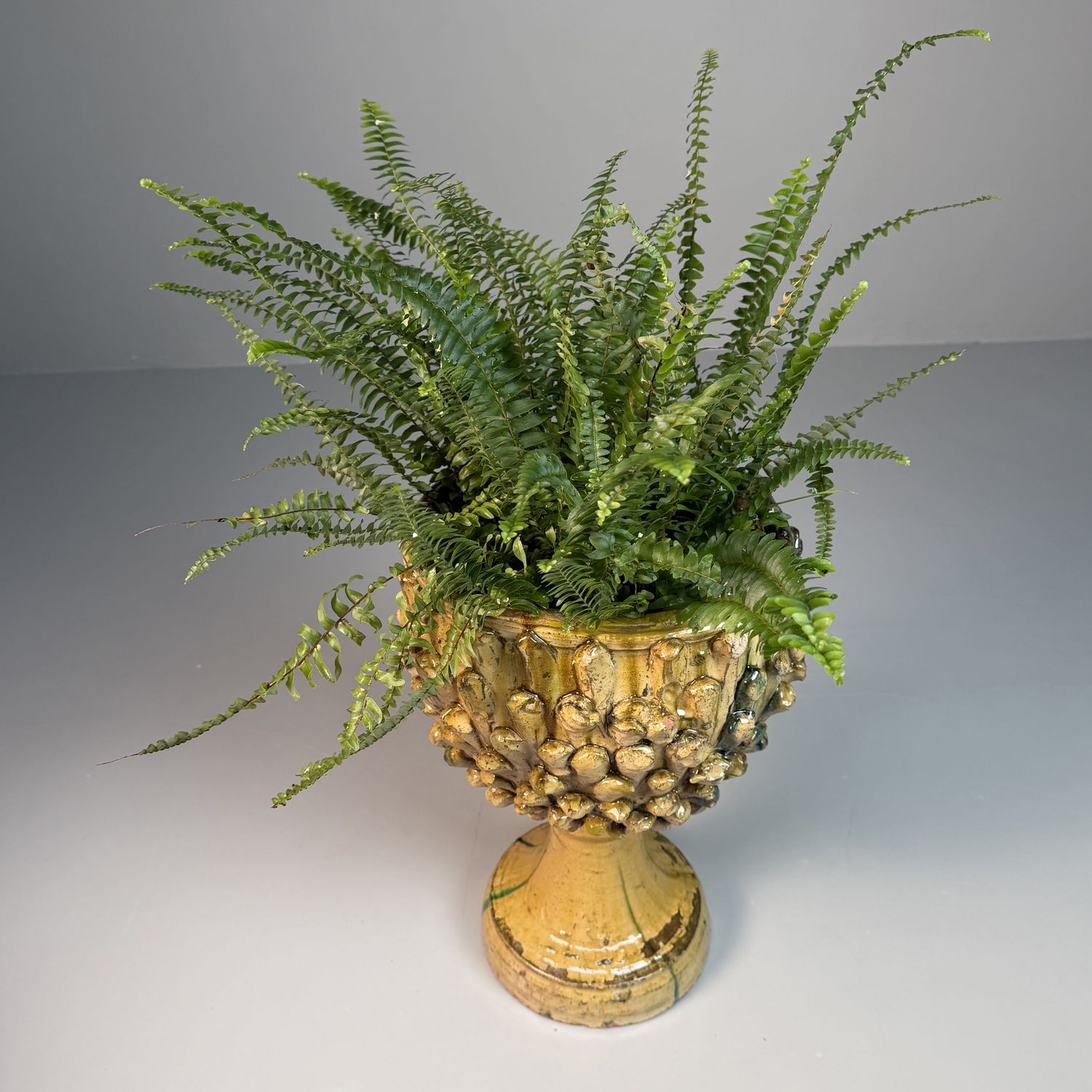 Ceramic Plant Stand by Rocco Condurso – 1970s-1980s, Italy