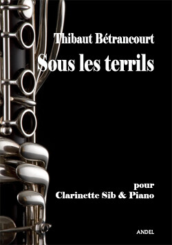 Sous les terrils - Thibaut Bétrancourt