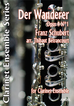 Der Wanderer - Franz Schubert - arr. Thibaut Bétrancourt