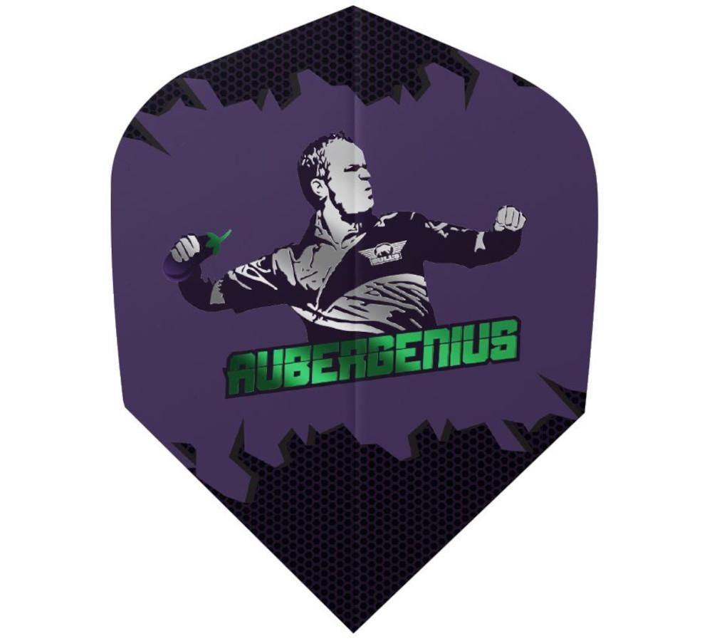 Powerflite Dirk van Duijvenbode Aubergenius flight