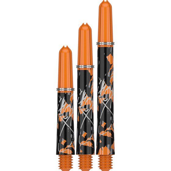 Target Pro Grip Icon Raymond van Barneveld