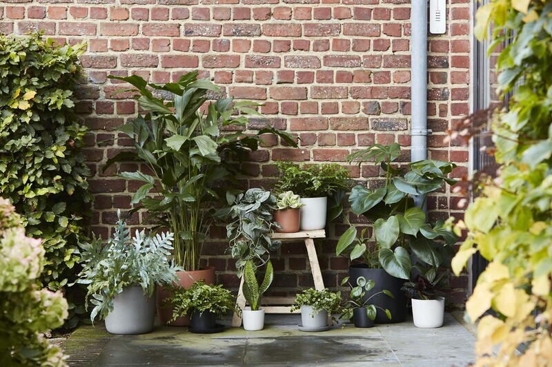 POINT VIRGULE PLANTENSCHOTEL - GERECYCLED PLASTIC, HOUT- EN STEENPOEDER LICHTGRIJS Ø 15CM H 2CM