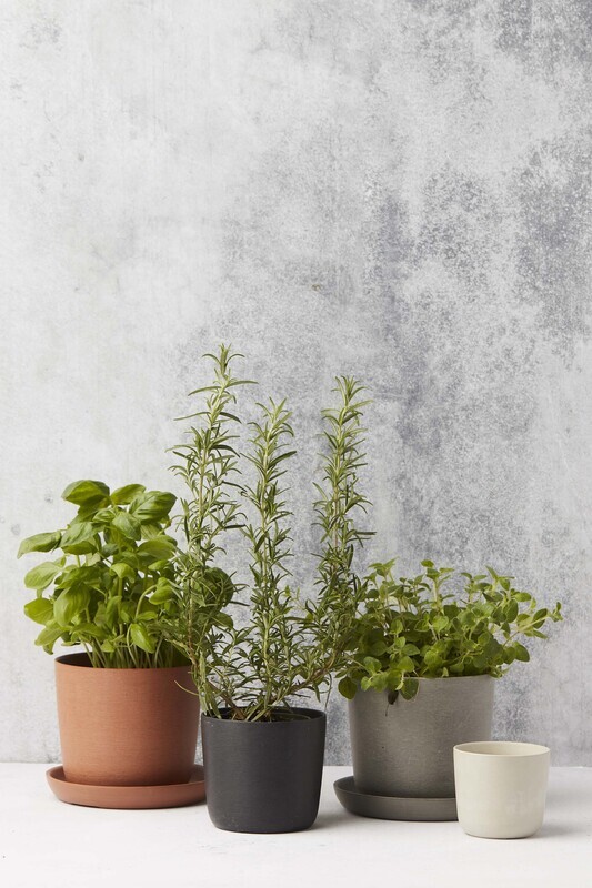 POINT VIRGULE PLANTENSCHOTEL - GERECYCLED PLASTIC, HOUT- EN STEENPOEDER DONKERGRIJS Ø 15CM H 2CM