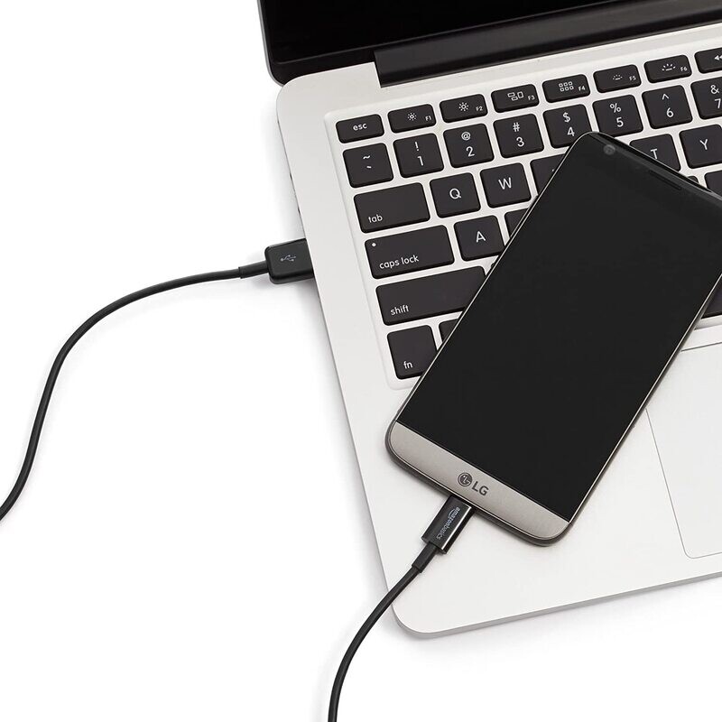 6ft USB C Charger Cable Amazon Basics