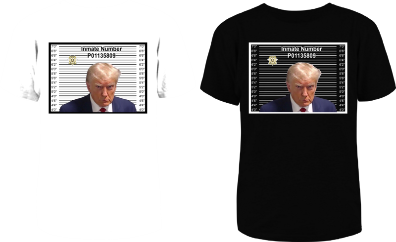 Trump Mugshot