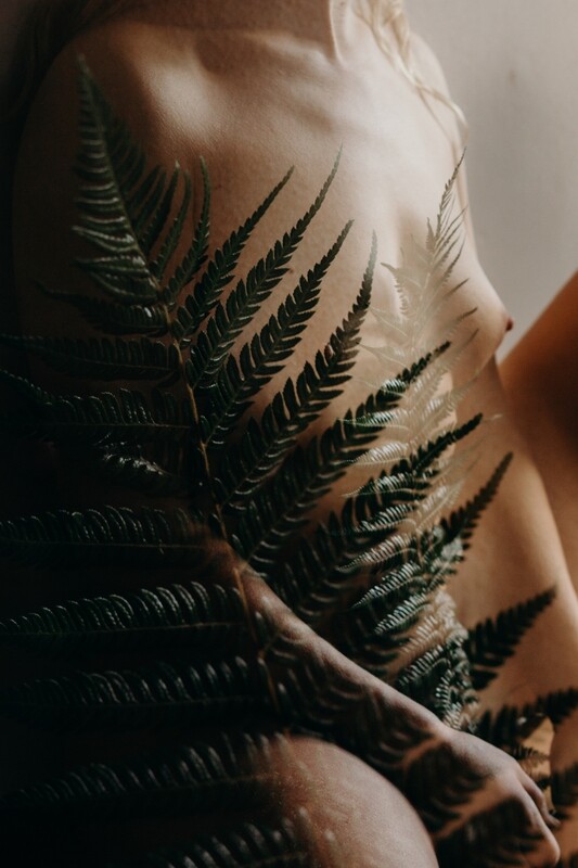 Photosynthesis II