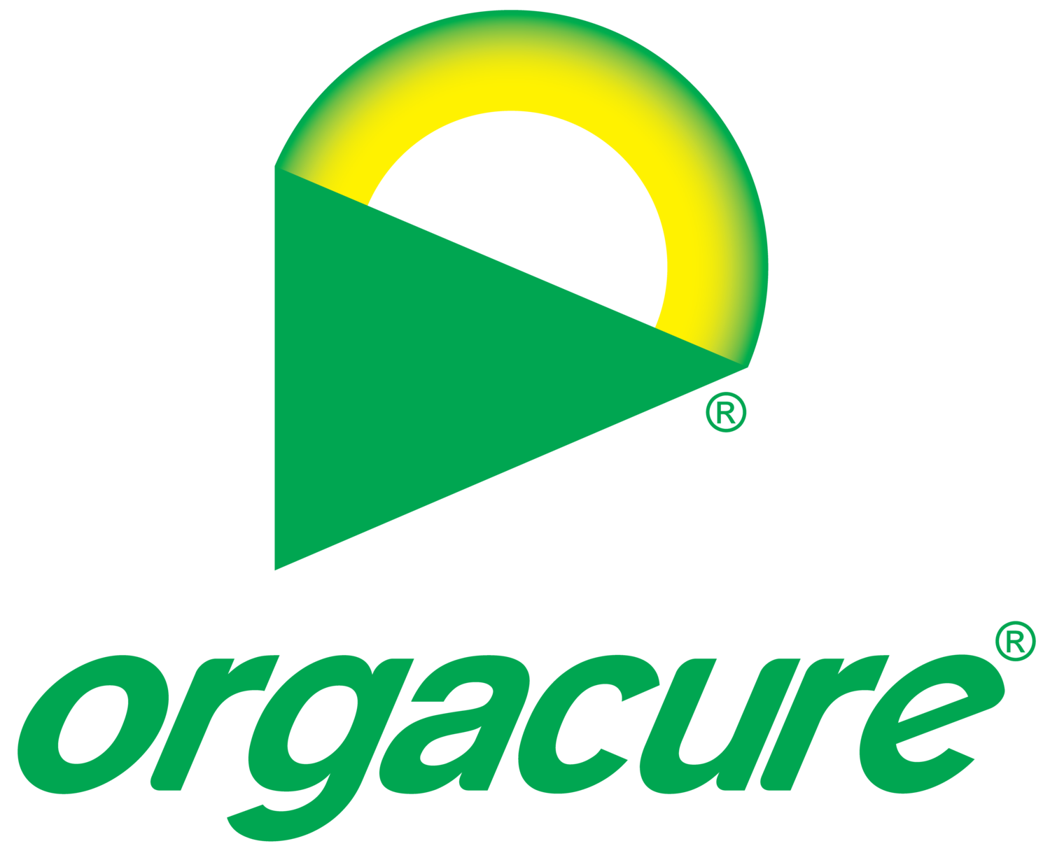Orgacure 10KG (22lb) Box