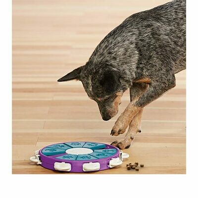 Denkspel Dog Twister Paars