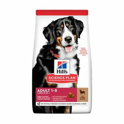 Hill's Science Plan Chien Adult Large Breed Agneau