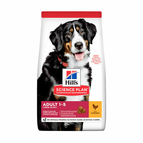 Hill's Science Plan Hond Adult Large Breed Kip