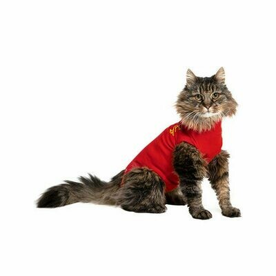 Chemise médicale pour chats