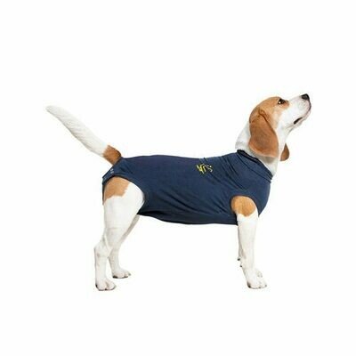Chemise médicale pour chiens