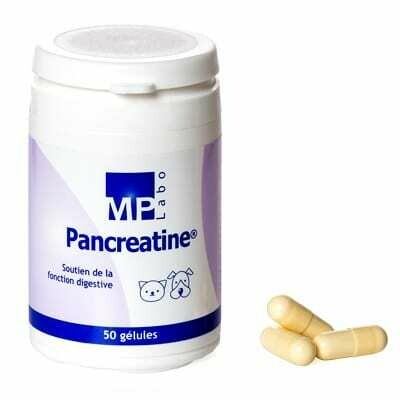 Pancreatine 50 comprimés