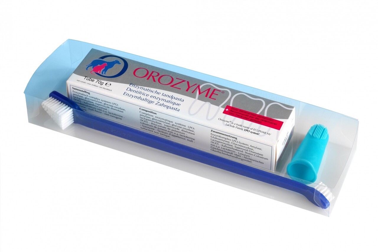 Orozyme Canine ensemble de soins dentaires