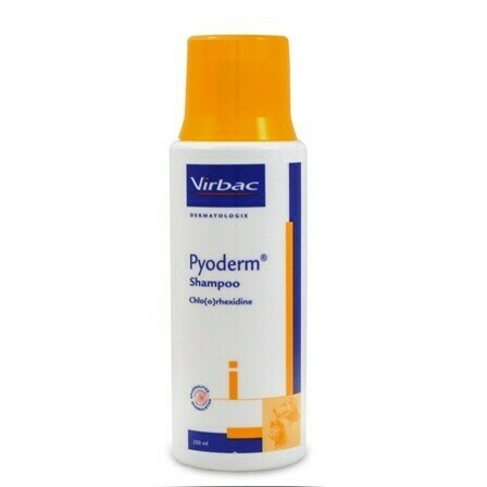 Pyoderm Shampoo 200 ml