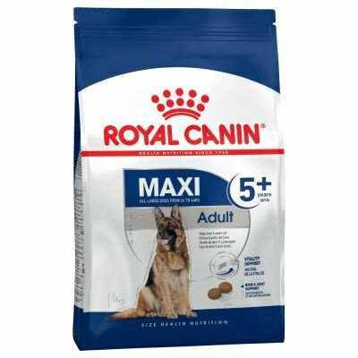 Royal Canin Maxi Adulte 5+