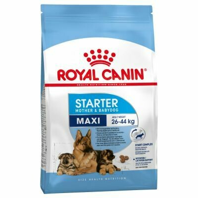 Royal Canin Maxi Starter Hondenvoer
