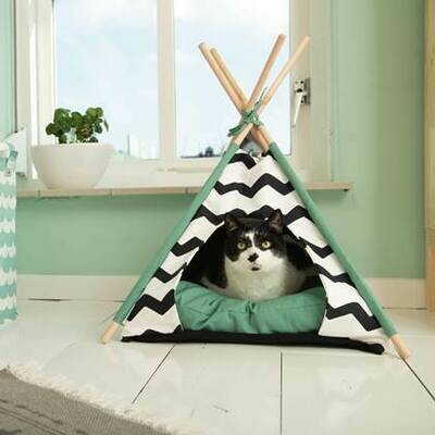 Tipi Beeztees Kioni