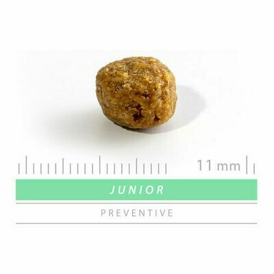 Sanimed Preventive Junior Chien