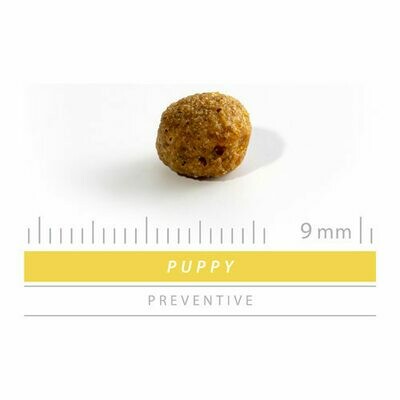 Sanimed Preventive Chiot