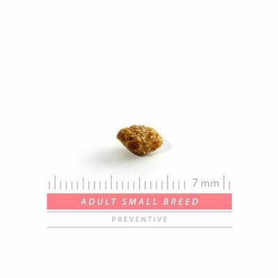 Sanimed Adulte Chien Small Breed