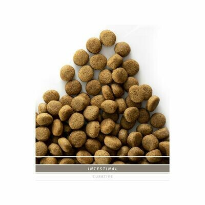 Sanimed Intestinal Hond