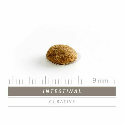Sanimed Intestinal Kat