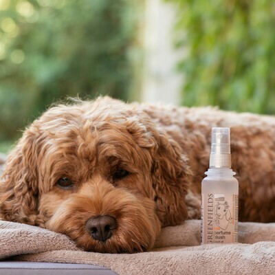 Parfum de Chien Greenfields Blush 75 ml