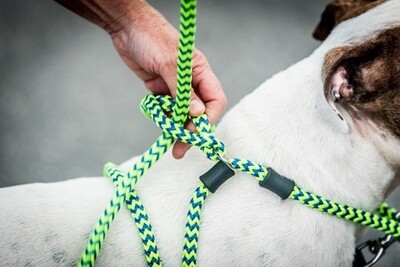 Harness Lead Anti-trek Harnas Hond