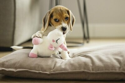 Peluche Beeztees Owen