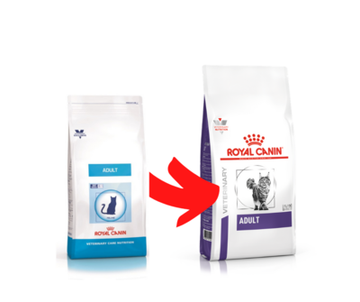 Royal Canin Adulte Chat