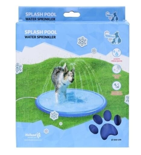 Piscine pour les chiens Splash Pool