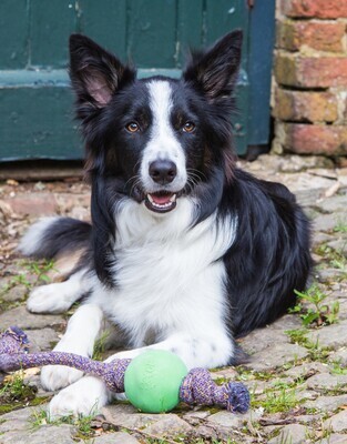 Beco Ball On Rope