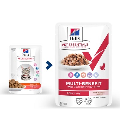 Hill's Vetessentials Multi-Benefit Kat Maaltijdzakjes Zalm 12 x 85 g