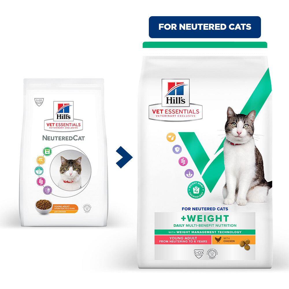 Elemental Udsigt halvleder Hill's Vetessentials Multi-Benefit + Weight Kat Adult | Volwaardige voeding  voor jonge gesteriliseerde of gecastreerde katten