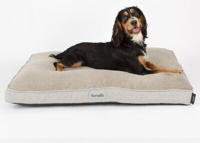 Scruffs Harvard Memory Foam Orthopedisch Bed Pearl Grey