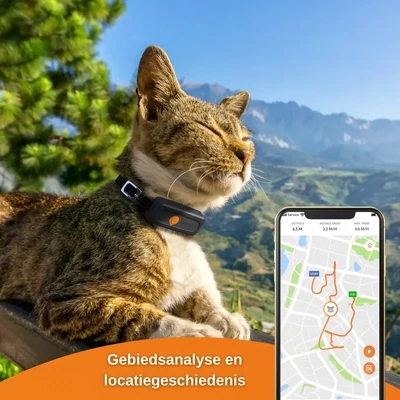 Traqueur Weenect XS Chat Noir