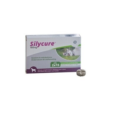 Silycure