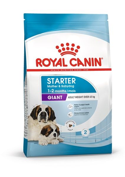 Royal Canin Giant Starter Chien