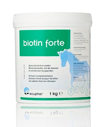 Biotin Forte 1 kg