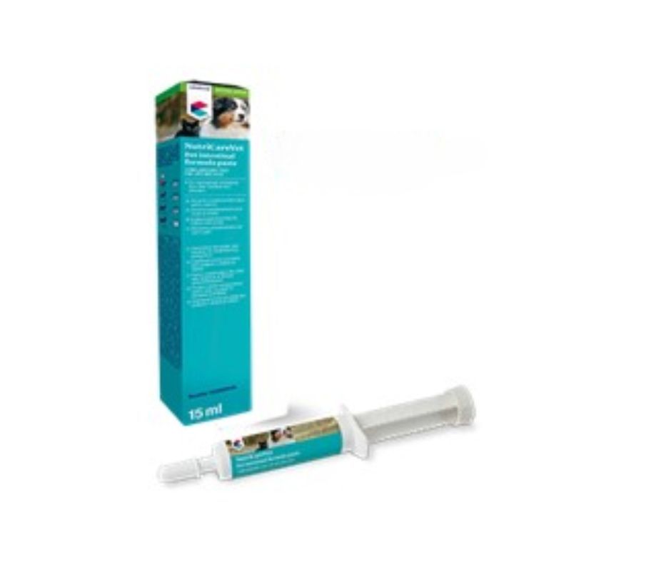 ​Covetrus Pet Intestinal Formula Pâte