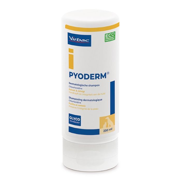 Pyoderm Shampoo 250 ml