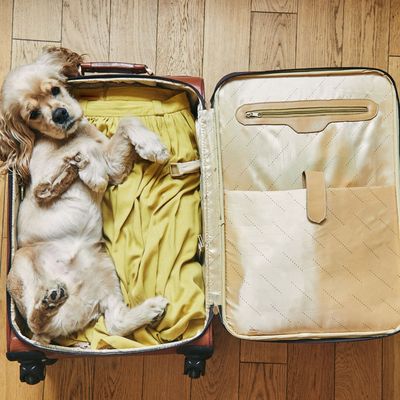 5% de réduction sur une sélection d'accessoires de voyage