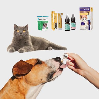 5% de réduction sur une selection de suppléments