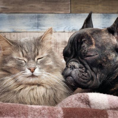 10 % de réduction sur les produits anti-stress