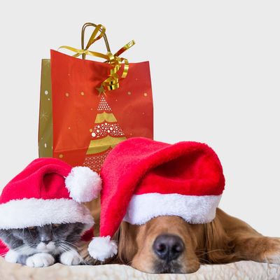 10 % de réduction sur les articles de Noël