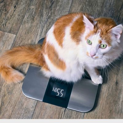 10 % de réduction sur les produits minceur