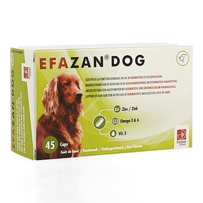 Efazan 45 Capsules