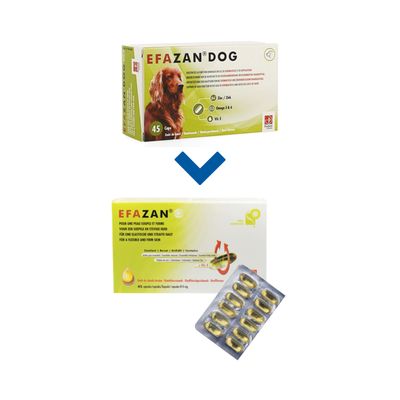 Efazan 45 Capsules
